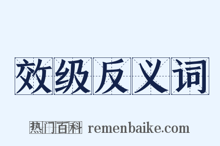 效级反义词是什么意思的图片